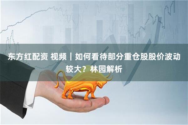东方红配资 视频｜如何看待部分重仓股股价波动较大？林园解析