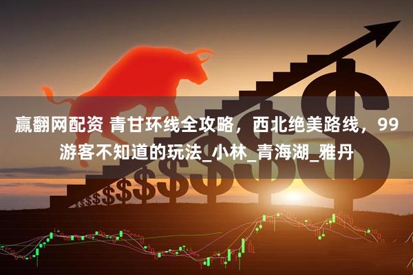 赢翻网配资 青甘环线全攻略，西北绝美路线，99游客不知道的玩法_小林_青海湖_雅丹