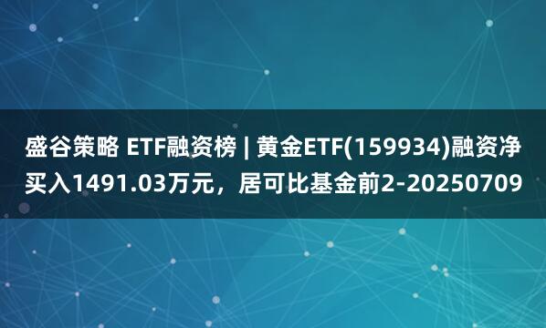 盛谷策略 ETF融资榜 | 黄金ETF(159934)融资净买入1491.03万元，居可比基金前2-20250709