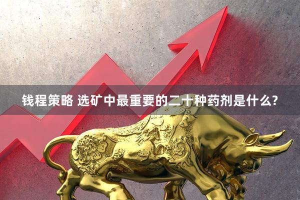 钱程策略 选矿中最重要的二十种药剂是什么?