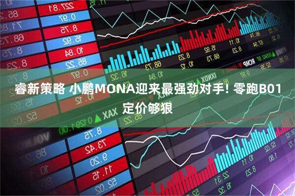 睿新策略 小鹏MONA迎来最强劲对手! 零跑B01定价够狠