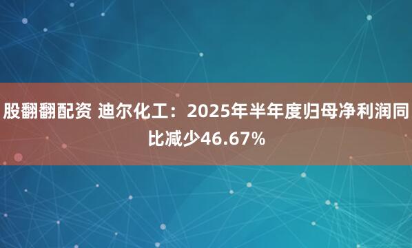 股翻翻配资 迪尔化工：2025年半年度归母净利润同比减少46.67%